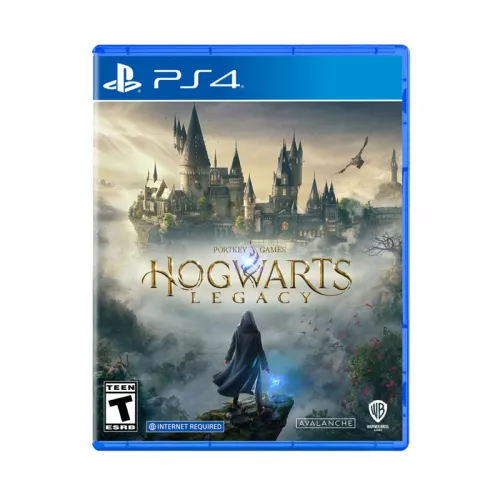HOGWARTS LEGACY PS4 REVIEW visual data 8
